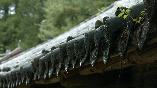 小雨青砖瓦房古建筑中式建筑屋檐滴水