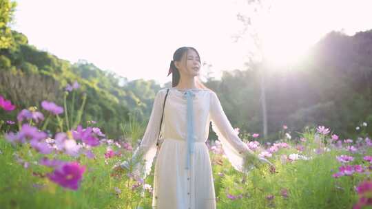 在格桑花海中的少女