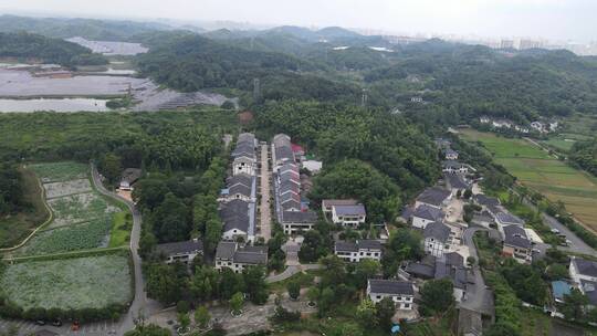 湖南益阳山乡巨变第一村4A景区