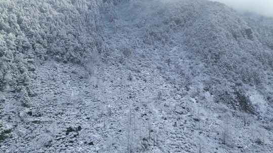 皖南梯田的第一场雪