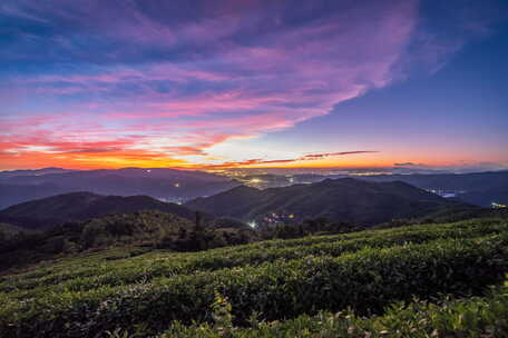 宁波 日出 朝霞 蓝调 茶园 自然