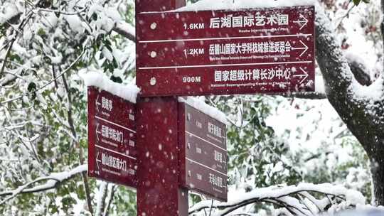 长沙下雪湖南大学岳麓书院