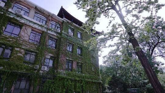 北京矿业大学民族楼复古历史年代建筑爬藤