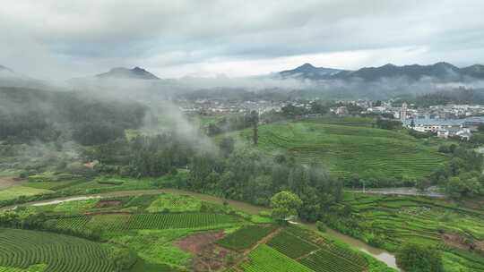 航拍武夷山风景区国家森林公园丹霞地貌风光