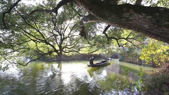 原创拍摄德清县下渚湖湿地房子河港大树视频素材模板下载