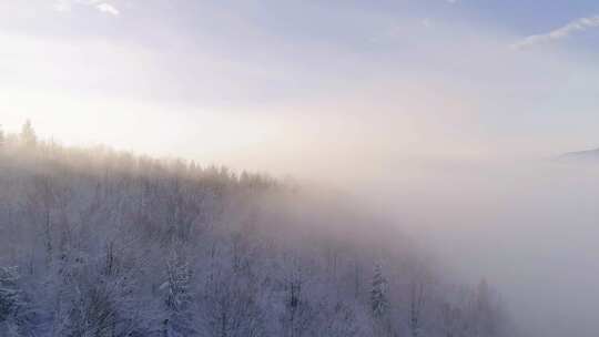 无人机低空飞行，穿过被雪覆盖的树木和被阳光照亮的雾云