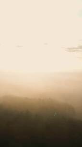 航拍特写日出前大雾浓雾森林的朦胧