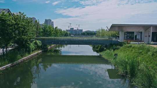 蟠龙天地