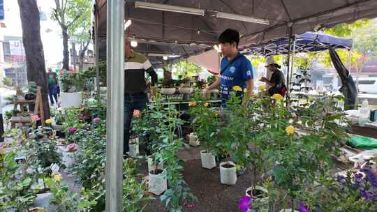 泰国色彩斑斓的鲜花市场