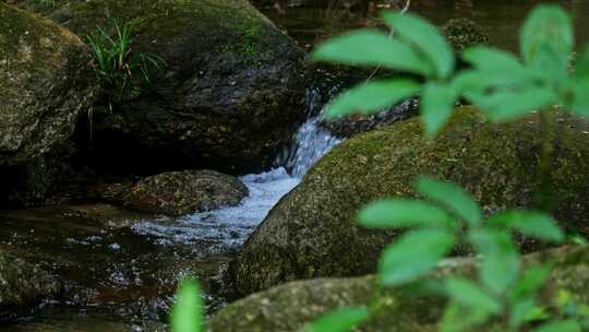 自然流水泉水山间小溪流