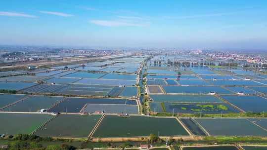 大片水产养殖场的俯瞰全景