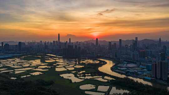 航拍深圳福田城市粤港澳大湾区宣传片