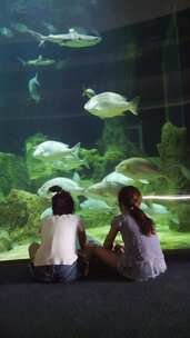 女孩在大水族馆里看鱼的后视图