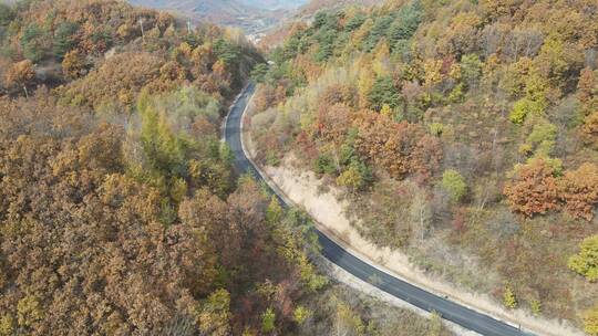 航拍本溪山桓仁间穿行于秋色中的道路