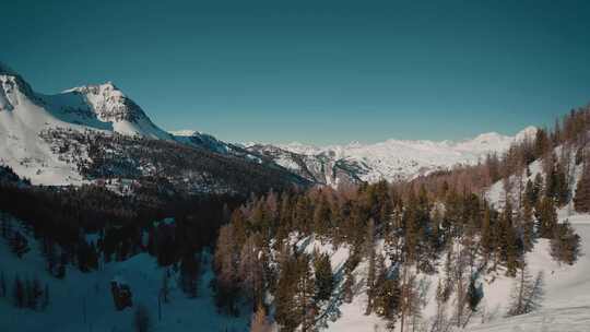 雪山空中森林