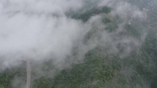 【4K】航拍四川广元曾家山云海云雾