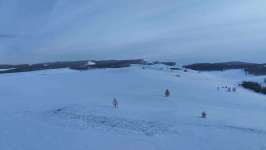 雪后空旷原野疏林点缀其间