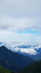 竖版航拍旅游景区湖北神农架5A景区