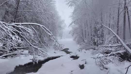 东北冬天长白山寒冷河流不冻河雾凇雪景