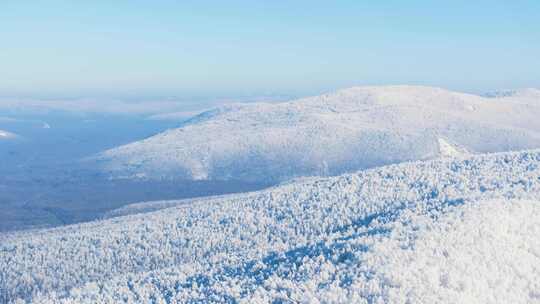 航拍大兴安岭林海雪原雾凇250101-48