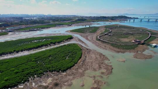 厦门航拍下潭尾湿地公园景观