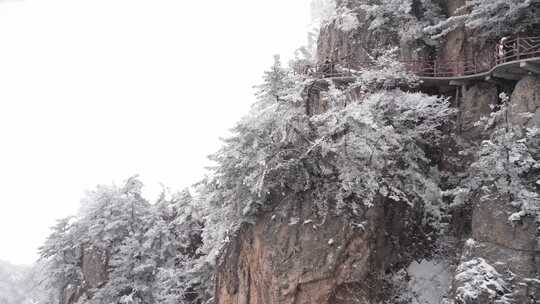 洛阳老君山下雪