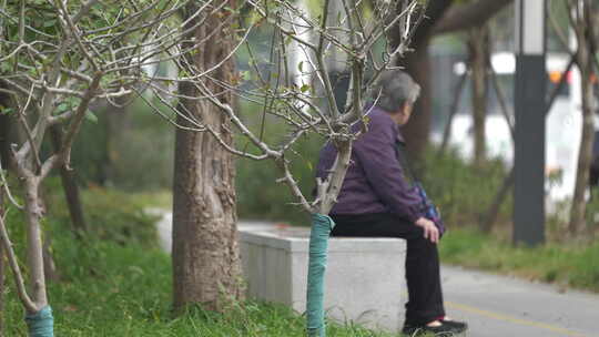 武汉东西湖康居拾光园