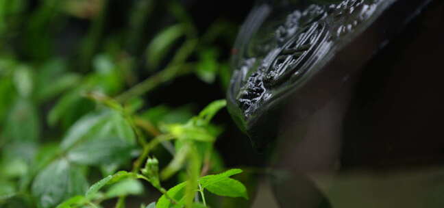 黑玉石  水滴 绿叶