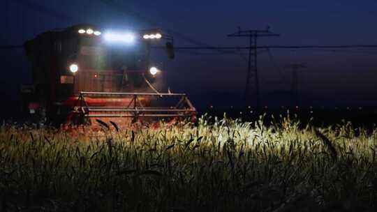 河南洛阳三夏麦收粮食丰收收割机昼夜作业高清在线视频素材下载