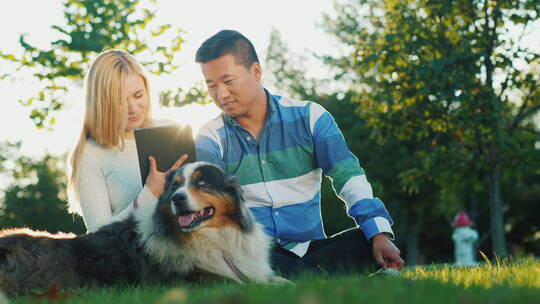 夫妇带着宠物狗在公园玩平板电脑