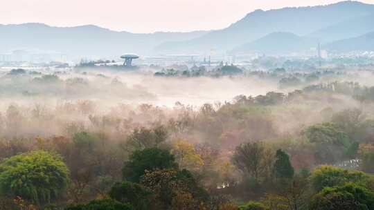 杭州秋天 西溪湿地 手摇船 湿地博物馆