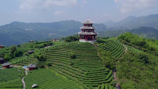 4k 航拍柳州三江布央仙人茶山茶山风景区