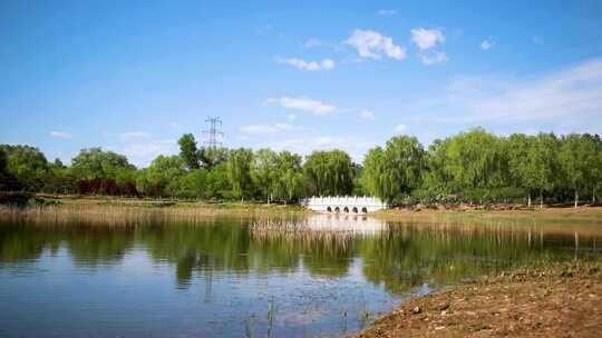 森林湖泊蓝天白云湿地公园延时视频素材