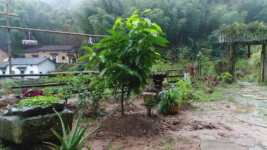 下雨天野外跑步