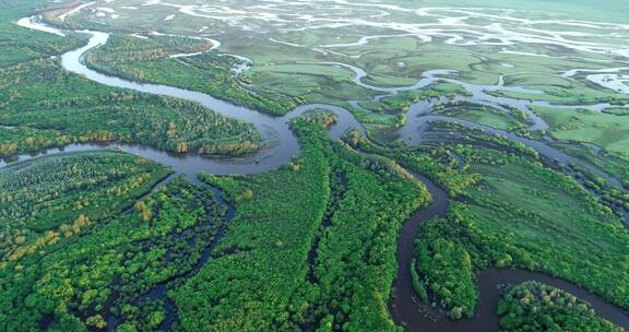 航拍内蒙古“亚洲第一湿地”根河湿地风光