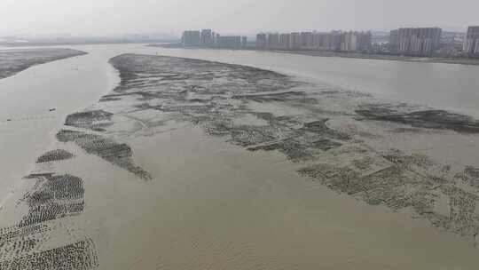 航拍泉州海蛎田 海蛎石滩