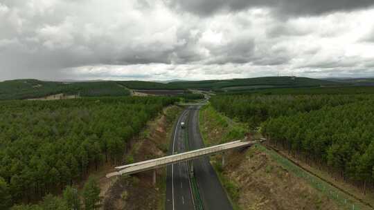 大兴安岭林区道路森林