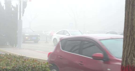 车辆来往 严重污染 重度污染 大雾天 浓雾