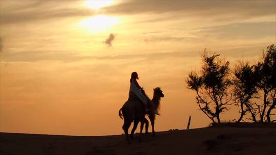 美女沙漠骑骆驼 夕阳落日下骑骆驼剪影视频素材模板下载