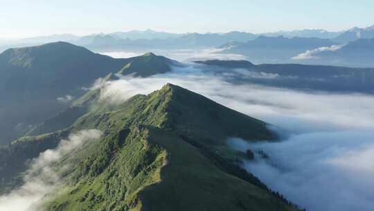 Schwalbenwand，山，云，树