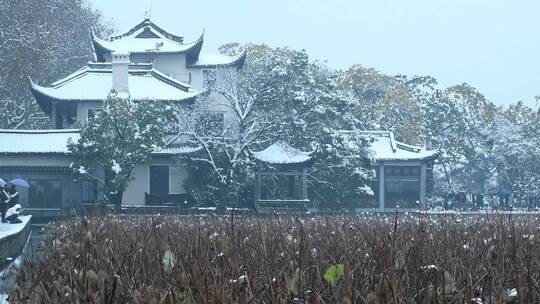 杭州西湖风景区雪景视频素材模板下载