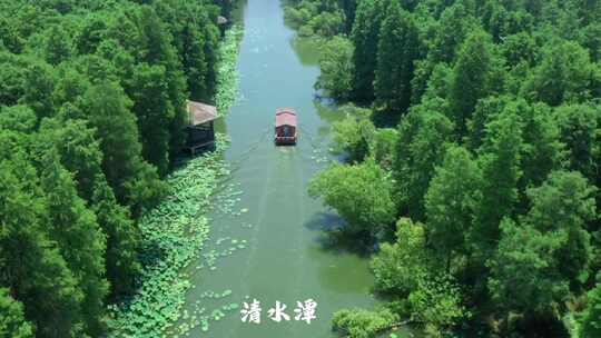 航拍高邮清水潭荷花林木河流河道鸟类