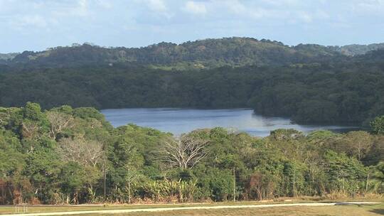 巴拿马运河沿岸的雨林视频素材模板下载