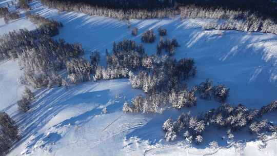 新疆喀纳斯雪景-树影光影俯瞰