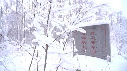 雪地林间森林防火石碑