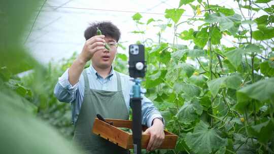 年轻男人在蔬菜大棚使用手机直播带货