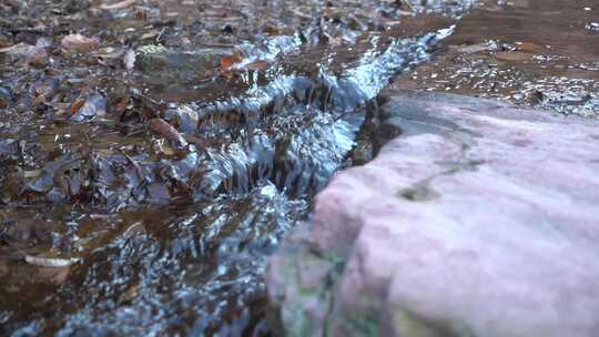 溪流 山间 溪流潺潺 河流 山野