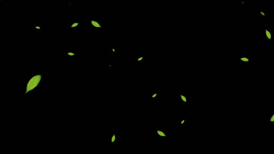 绿叶叶子飘落素材