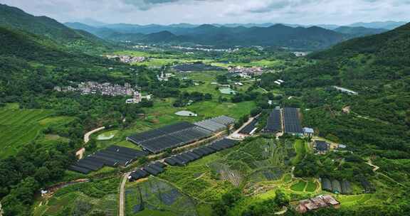 【正版素材】云浮市南药种植基地