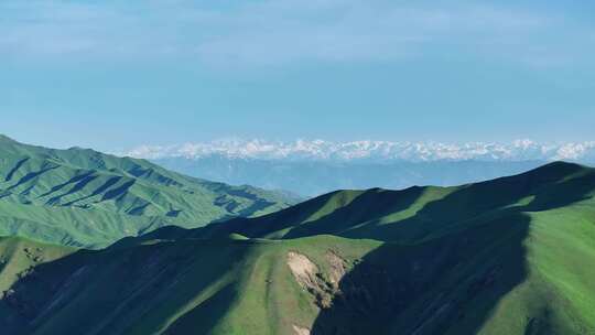 新疆伊犁大草原